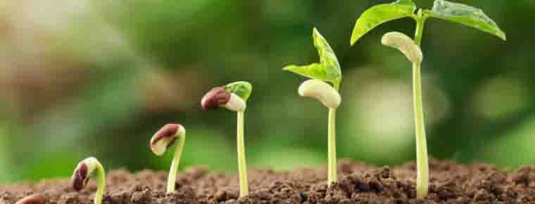 Big firms face fresh sustainability obligations