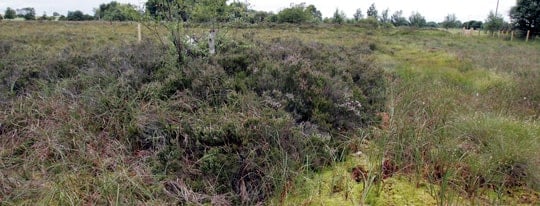 Ireland referred to CJEU over peat-cutting