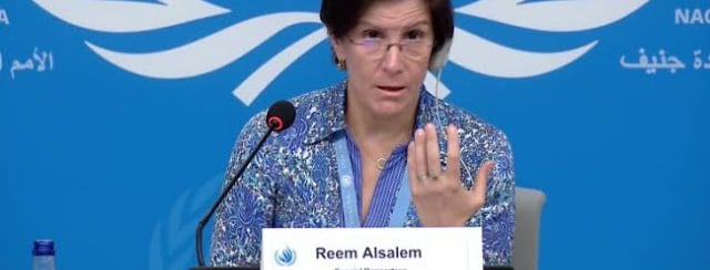 Experts call halt to global surrogacy convention