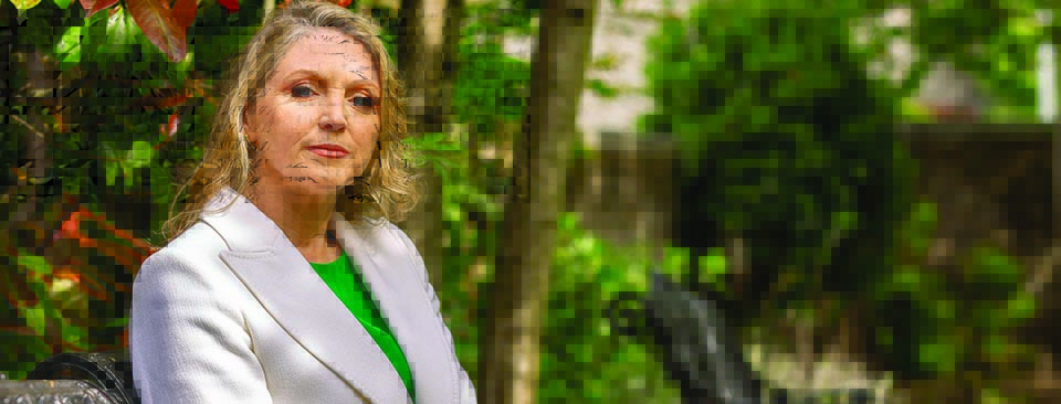 Caoilfhionn Gallagher KC to speak at NE event