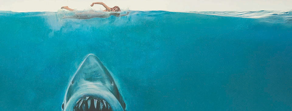 Swimming with sharks