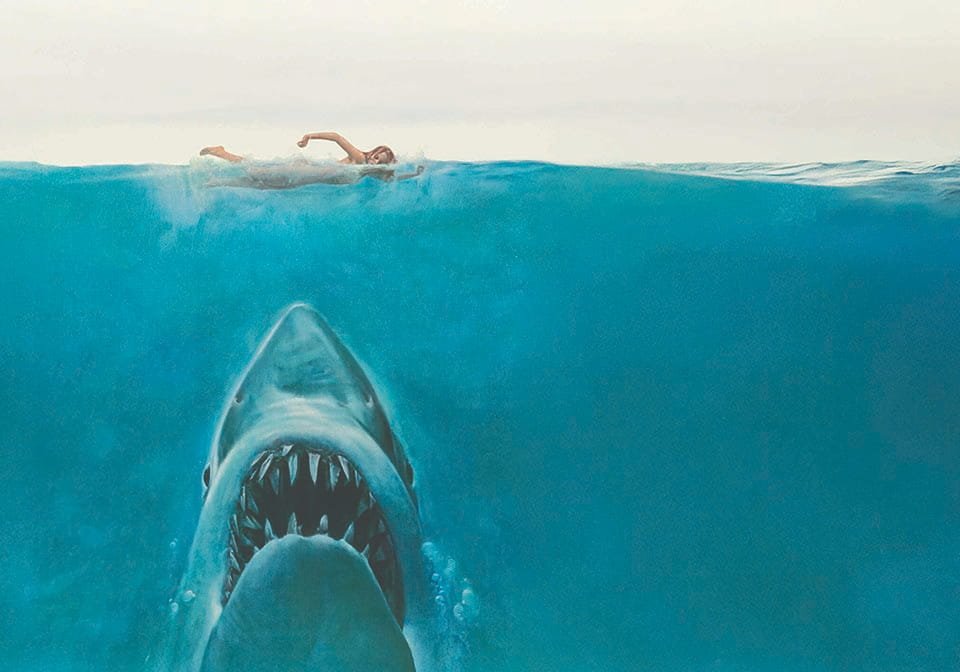 Swimming with sharks
