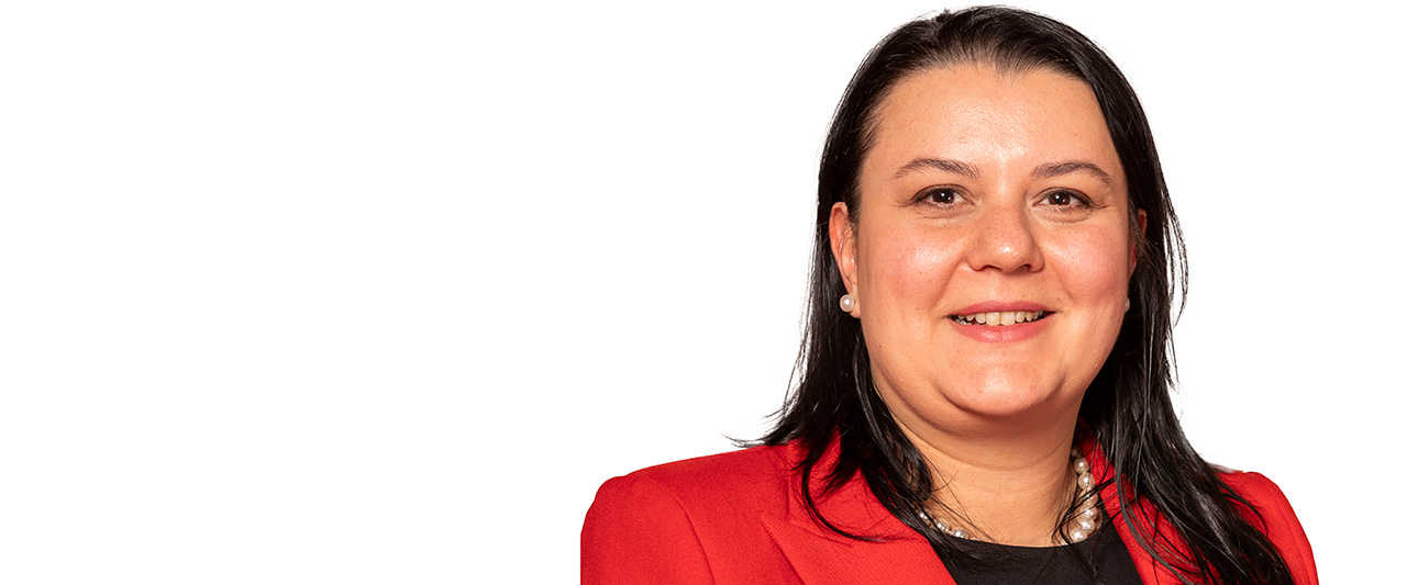 Cristina Stamatescu, Chair