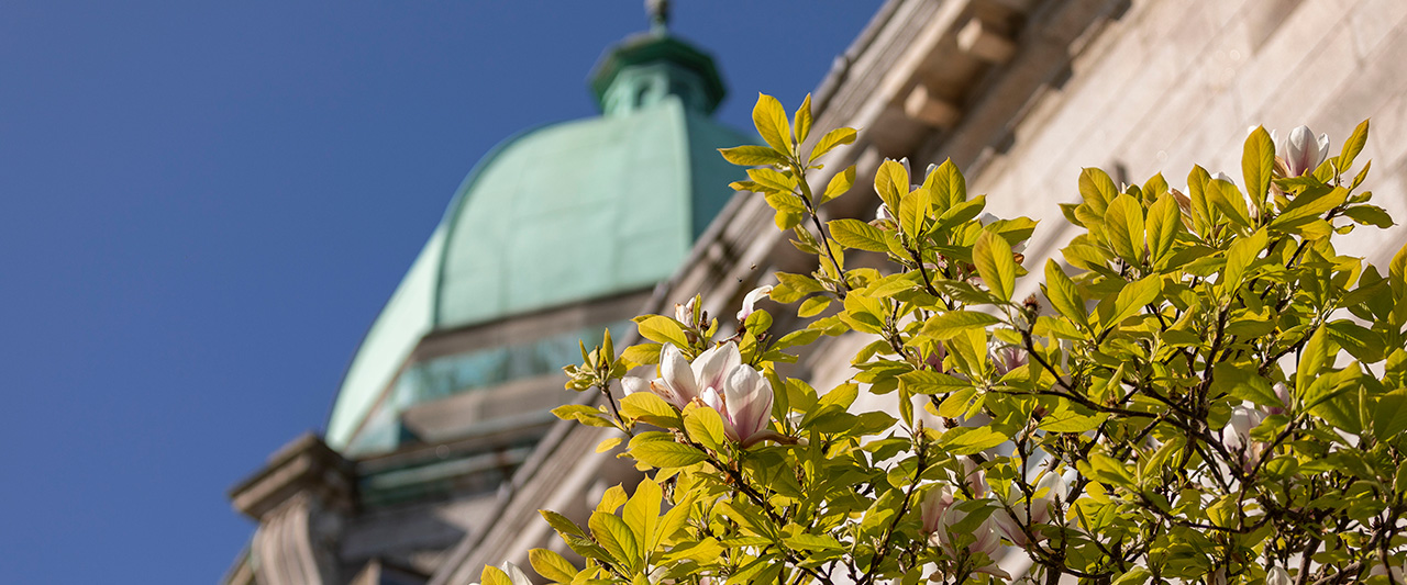 A decorative image of Blackhall place, with the building cupola pictured from below