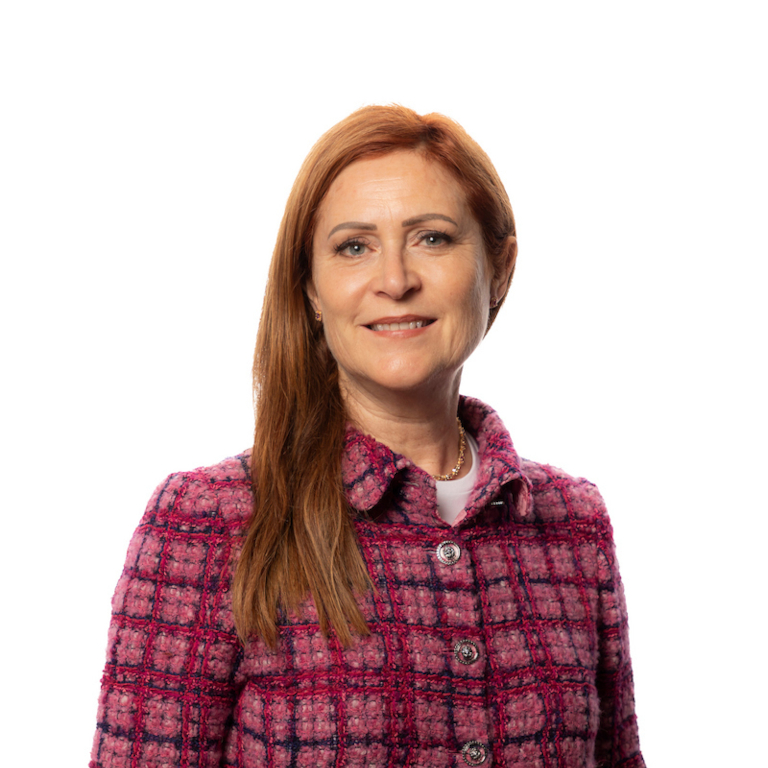 Aine Hynes, Council member