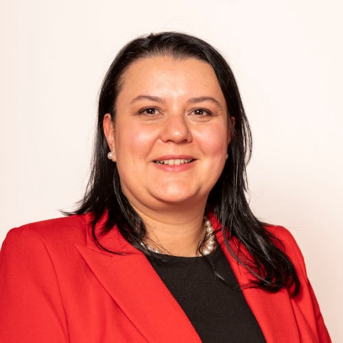 Cristina Stametescu, Council Member