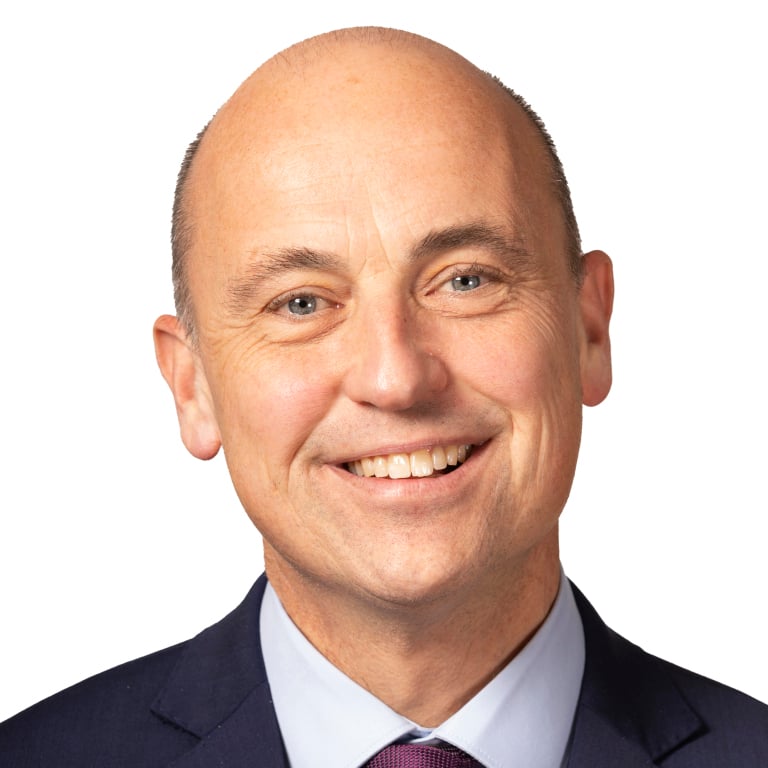 Garry Lee, Council member